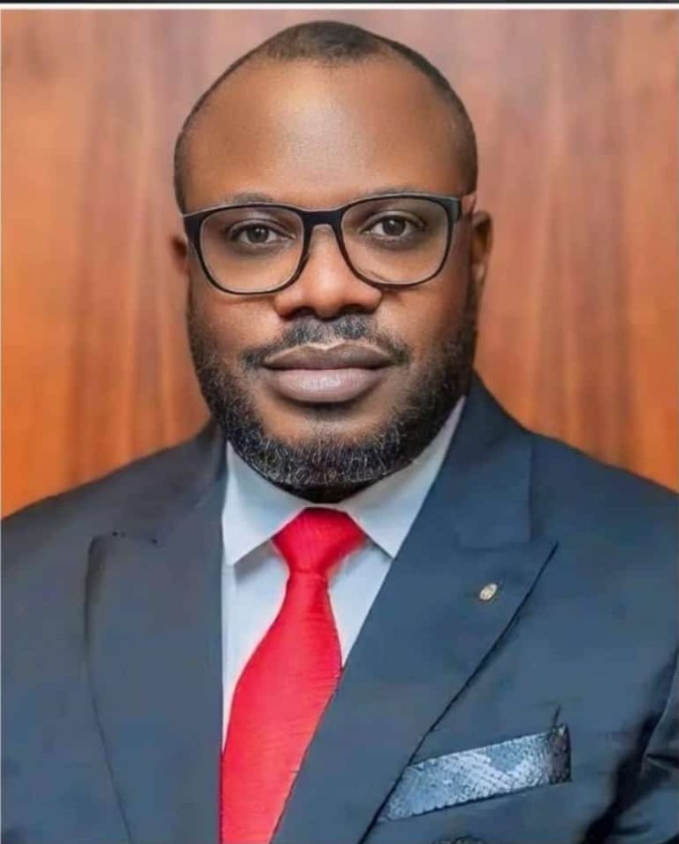 PAP: Amnesty Boss, Otuaro Gets Vote Of Confidence From Stakeholders