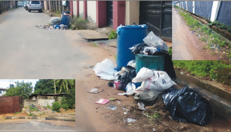 Growing Weeds On Major Roads Through Dumping Of Refuse