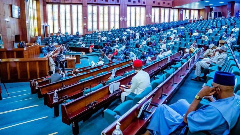 Reps Approve NDDC’s N1trn Budget