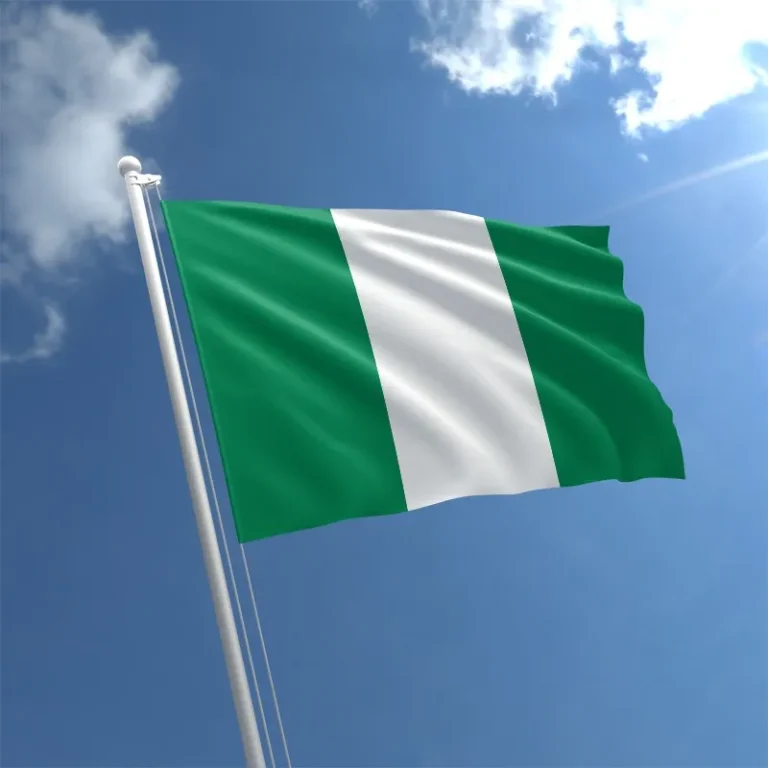 Who Will Speak For Nigeria? (1)