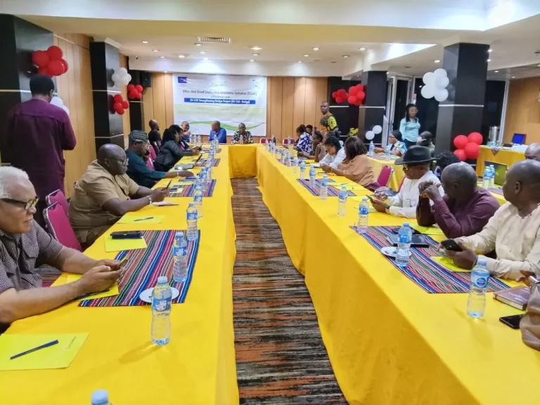 EGLAI Leads Self-Regulation Revolution For Nigerian Civil Society